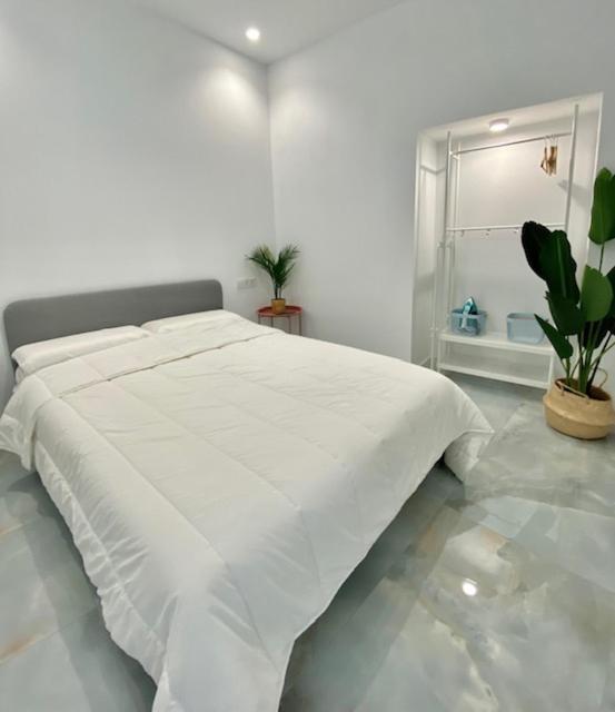 Apartamento Isasa Córdoba Kültér fotó
